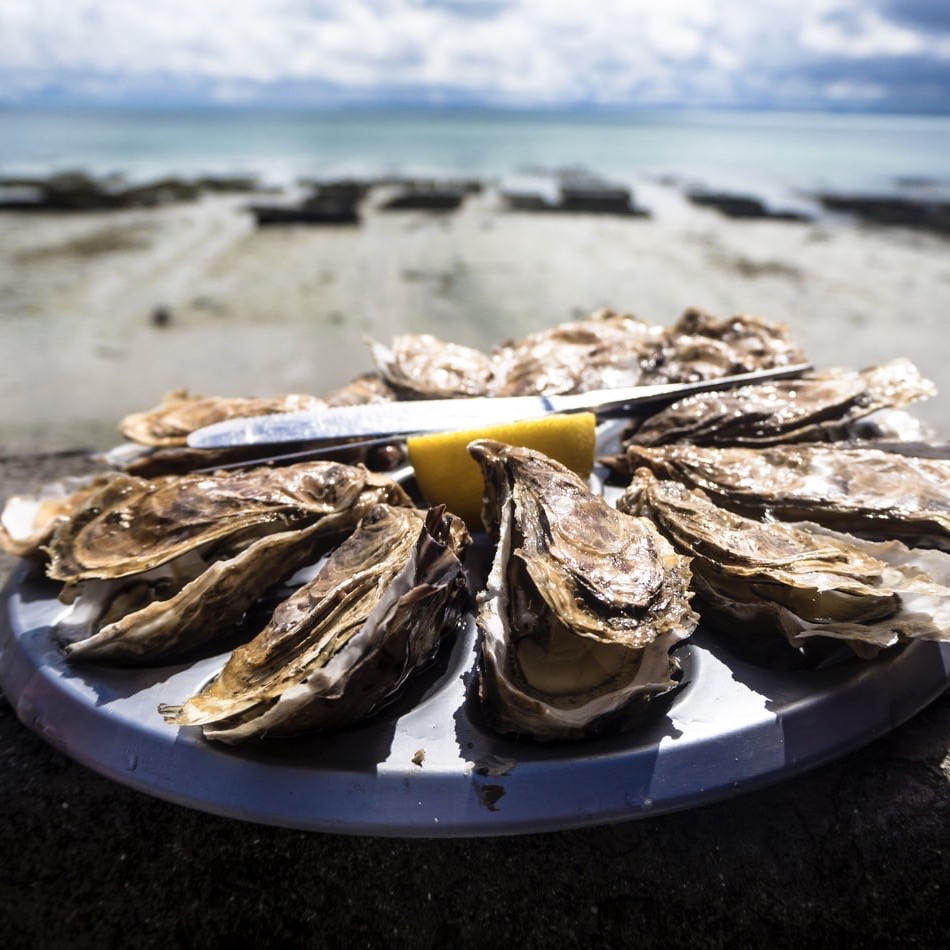 Catching oysters in Billund