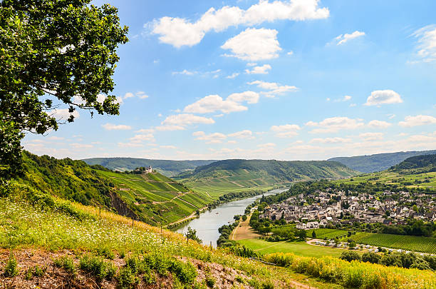 Moselle wine road